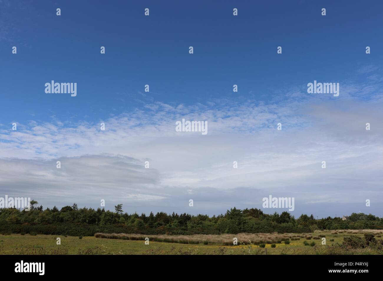 Fluffy white clouds against blue sky with trees Stock Photo - Alamy