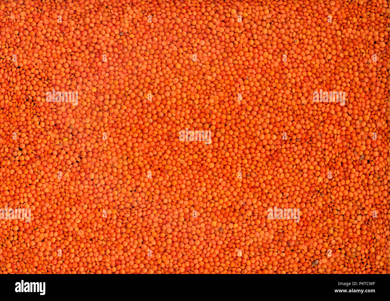Background of red lentil fruits Stock Photo
