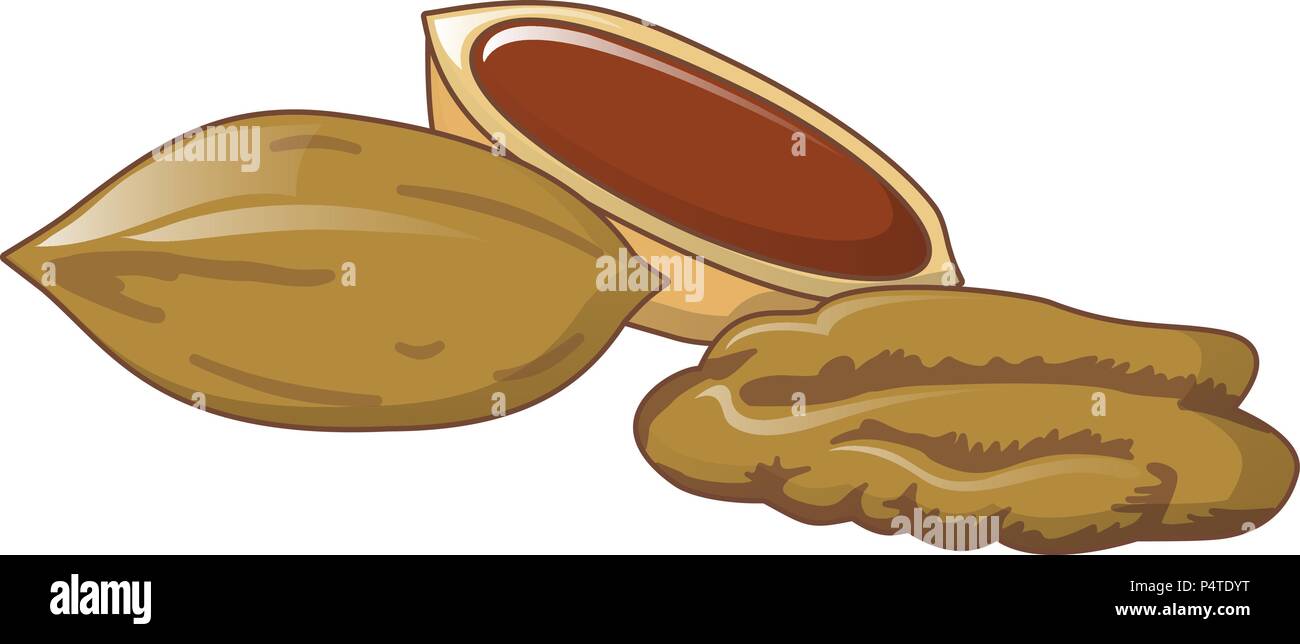 Pecans icon, cartoon style Stock Vector Image & Art Alamy