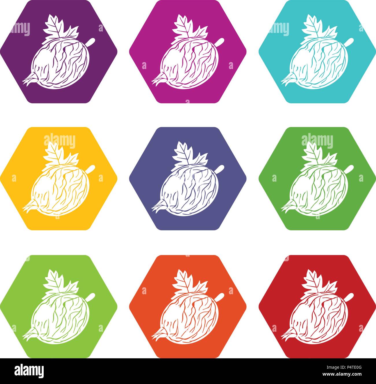 Gooseberry icons set 9 vector Stock Vector Image & Art - Alamy