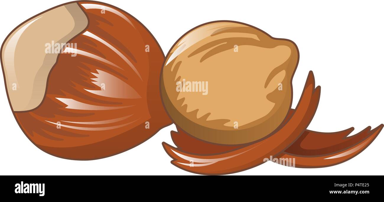 Hazelnut icon, cartoon style Stock Vector Image & Art Alamy