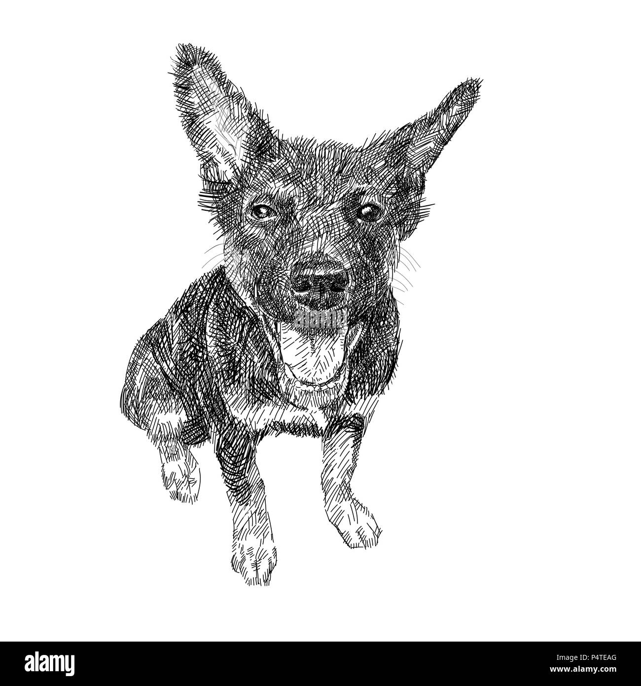 Drawing of black dog sitting on white background, vector illustration ...