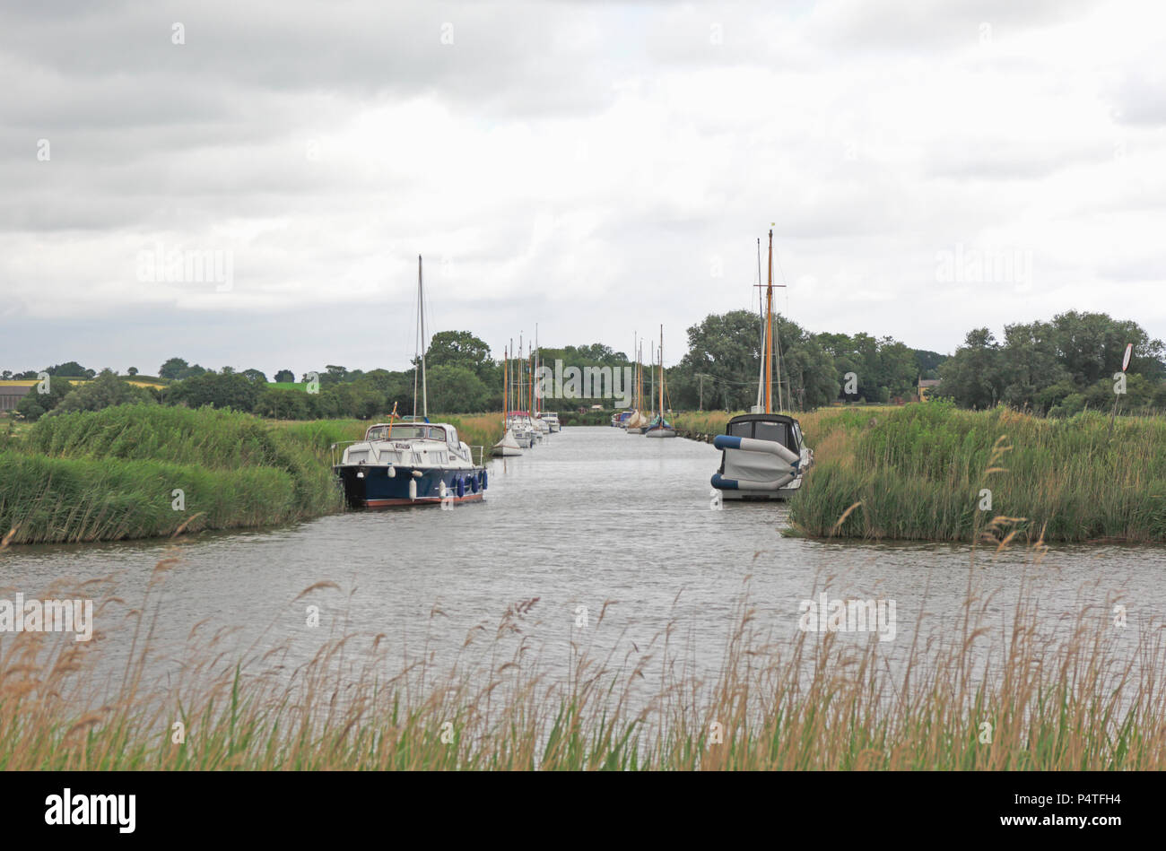 A view of South Oby Dyke viewed across the River Bure on the Norfolk
