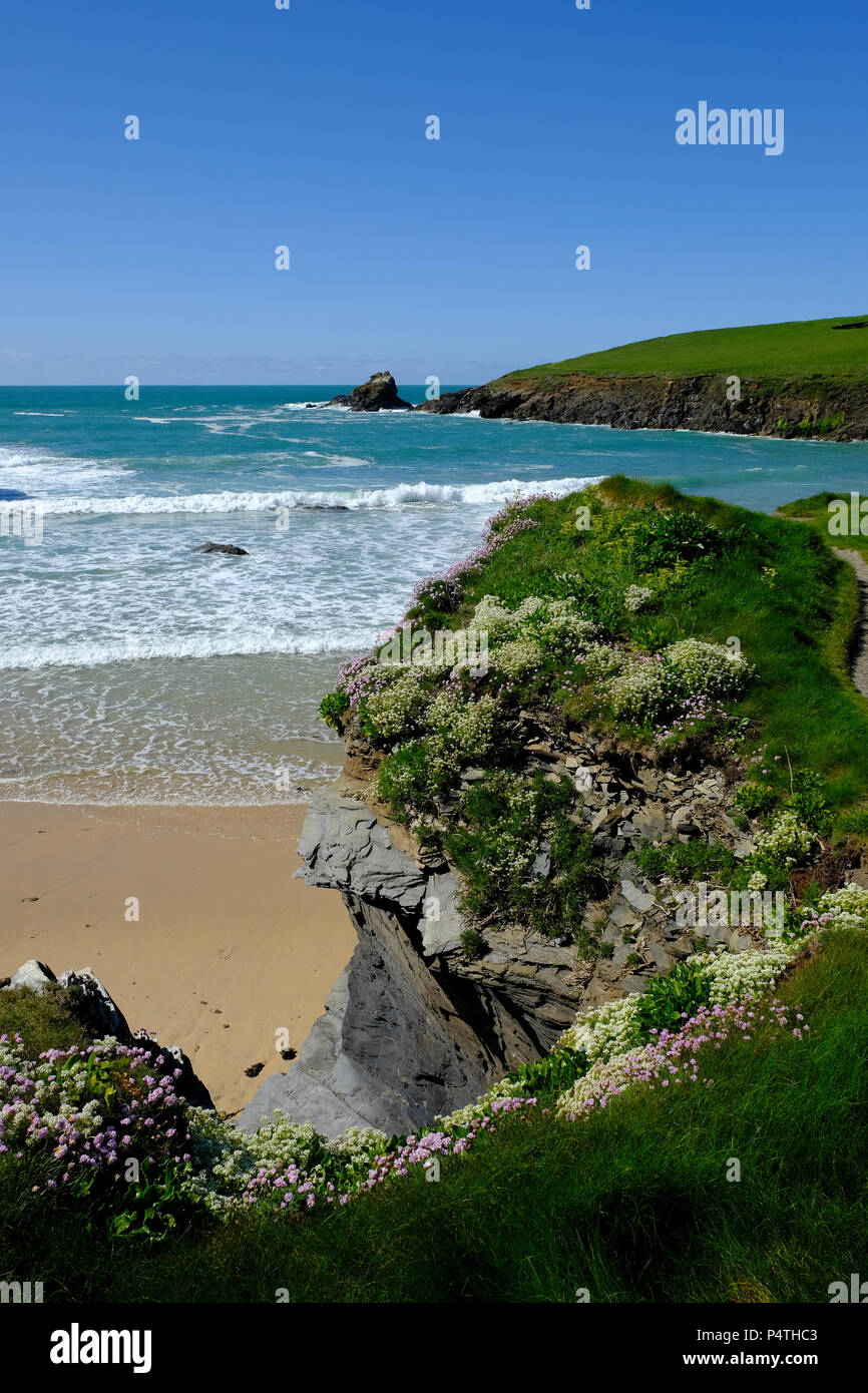 Trevone beach cornwall hi-res stock photography and images - Alamy