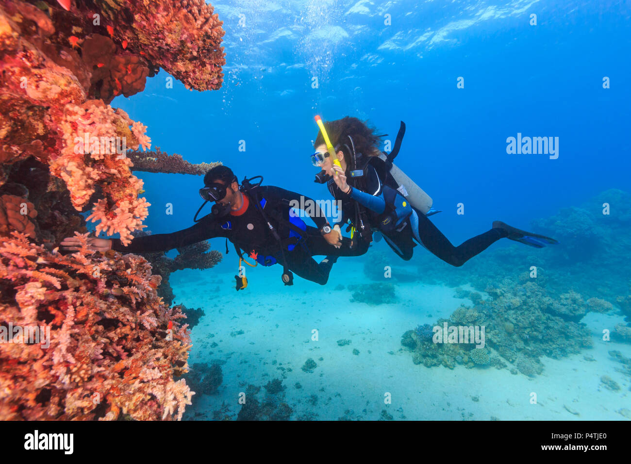 Explorer people underwater . Two adult person diving in first time on ...