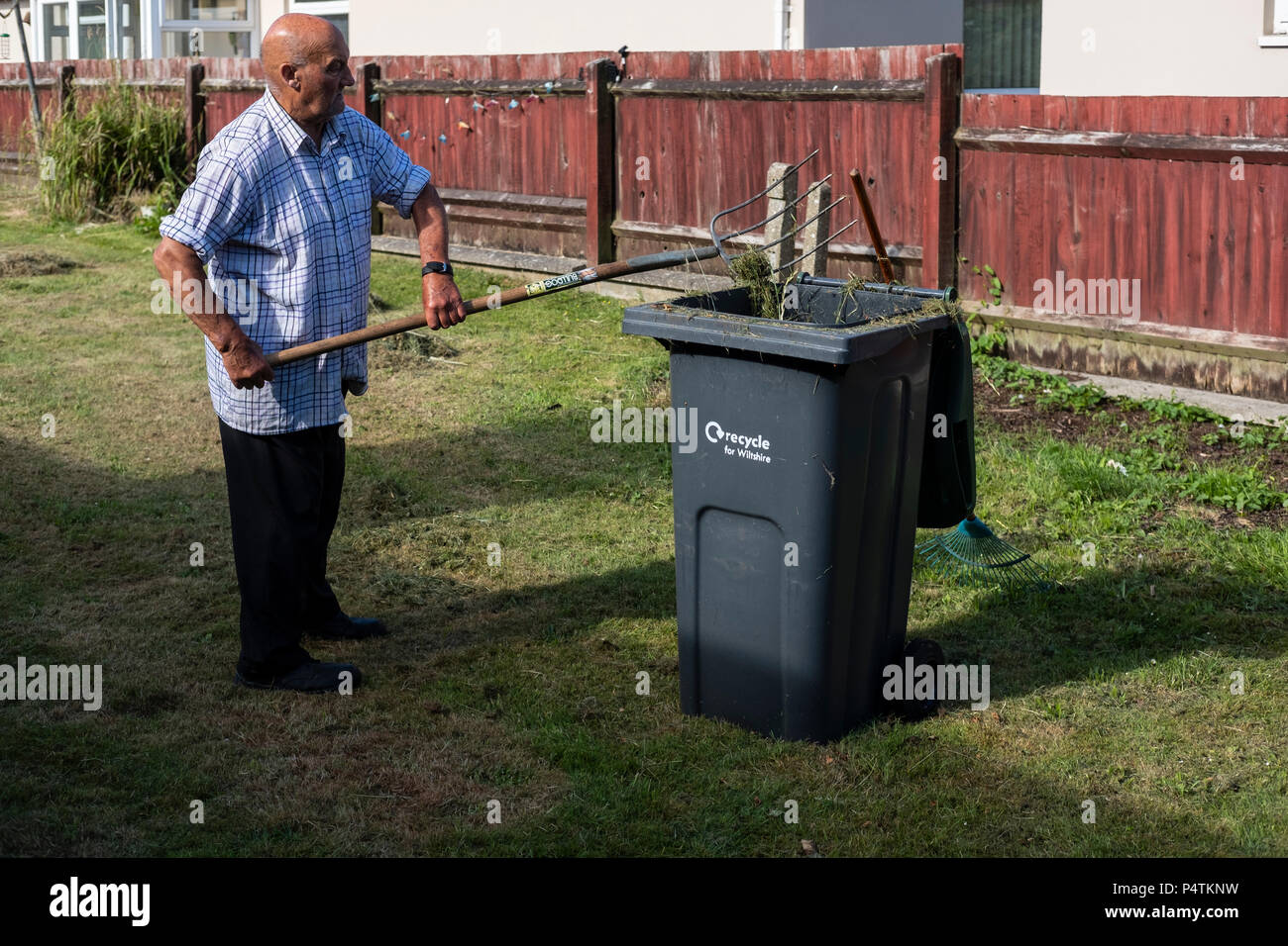 Old man raking up cut grass after the lawn has been mowed Stock Photo ...