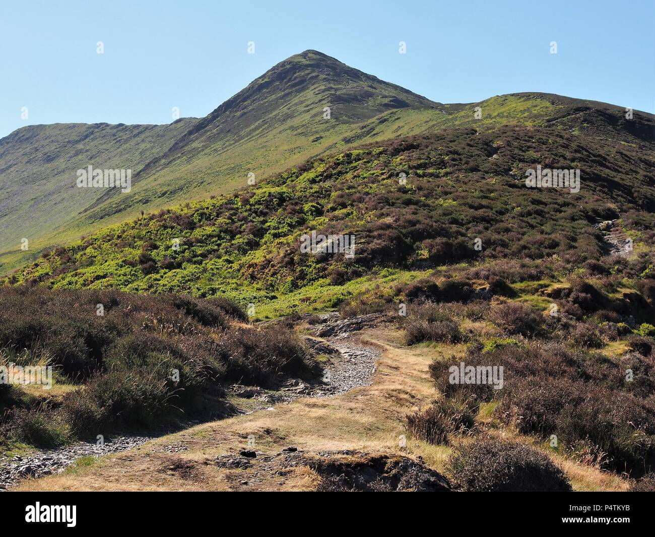 The ridge route path to Ullock Pike with Long Side Edge beyond, Bassenthwaite, Lake District National Park, Cumbria, United Kingdom Stock Photo