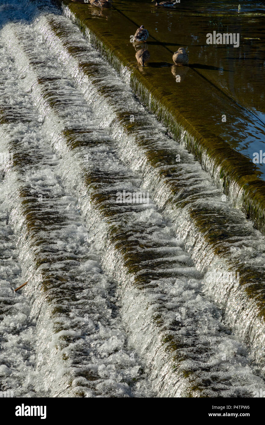 Silt-laden water rushing over a weir on the River Stour Blandford Dorset  England UK Stock Photo - Alamy