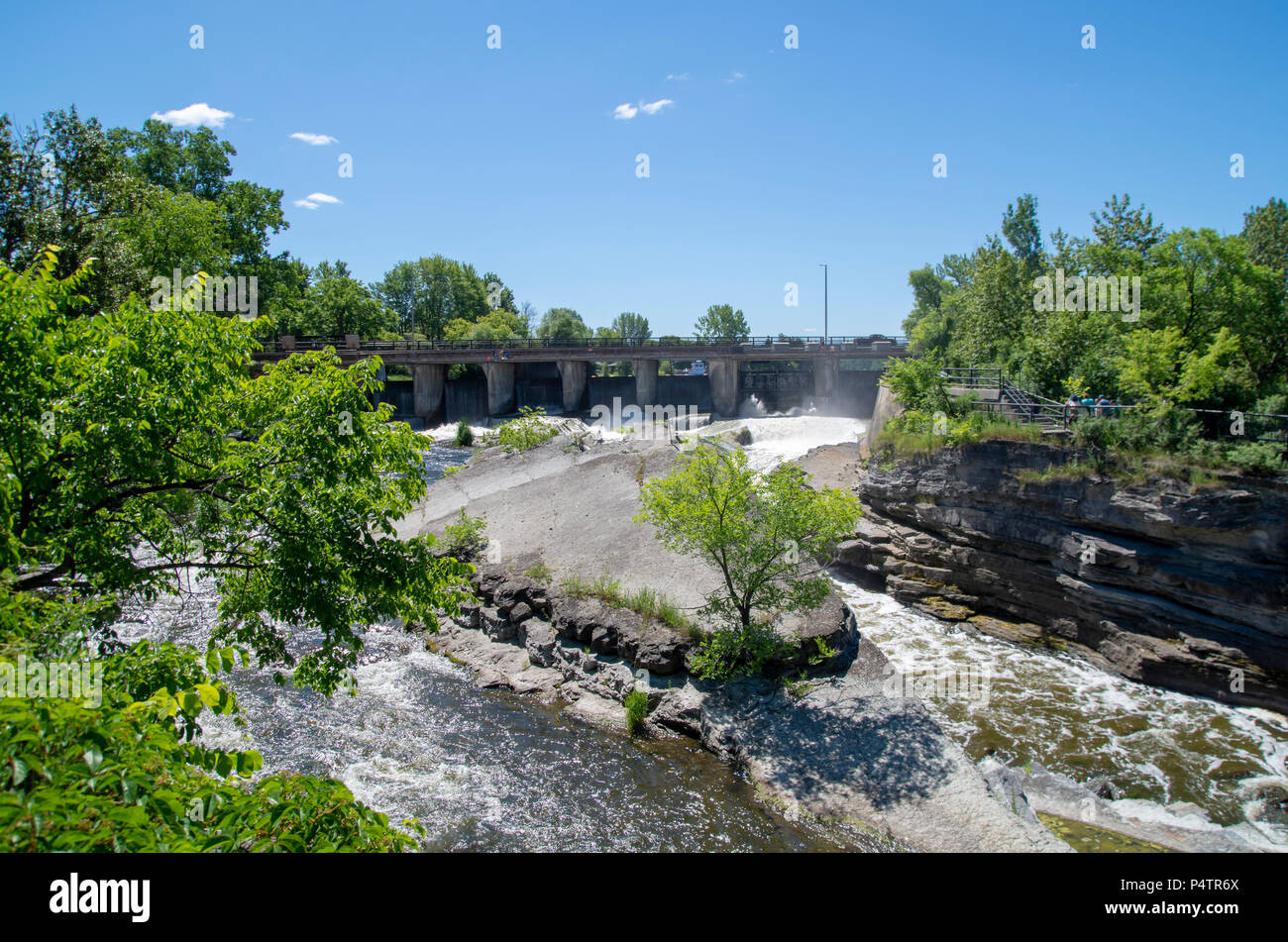 Hog’s Back Park was developed in the 1950s, and it occupies an area of ...