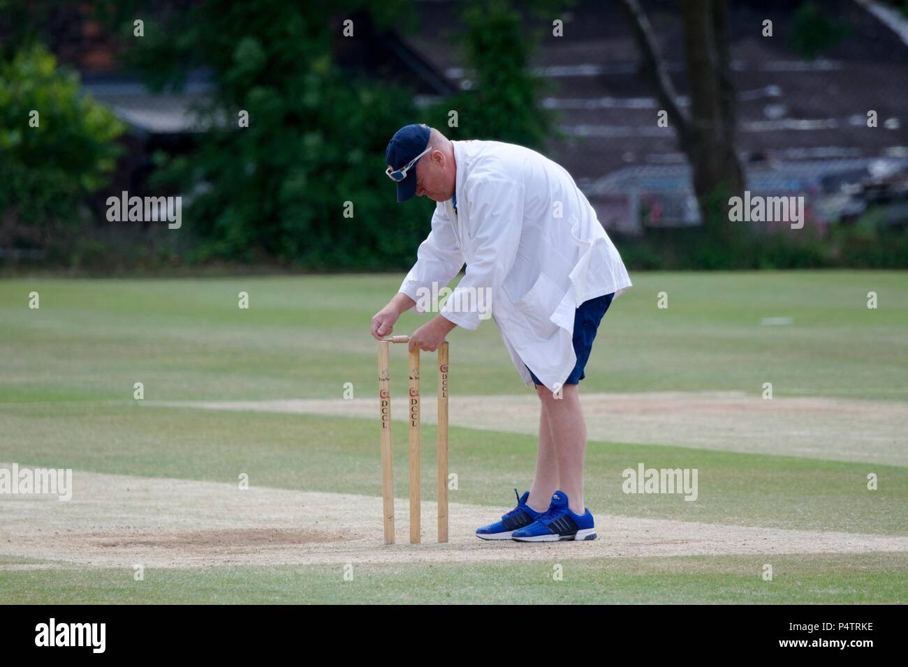 An umpire puts the bails on the wickets before the start of a sec on eleven cricket match between New Mills and Mottram. Stock Photo
