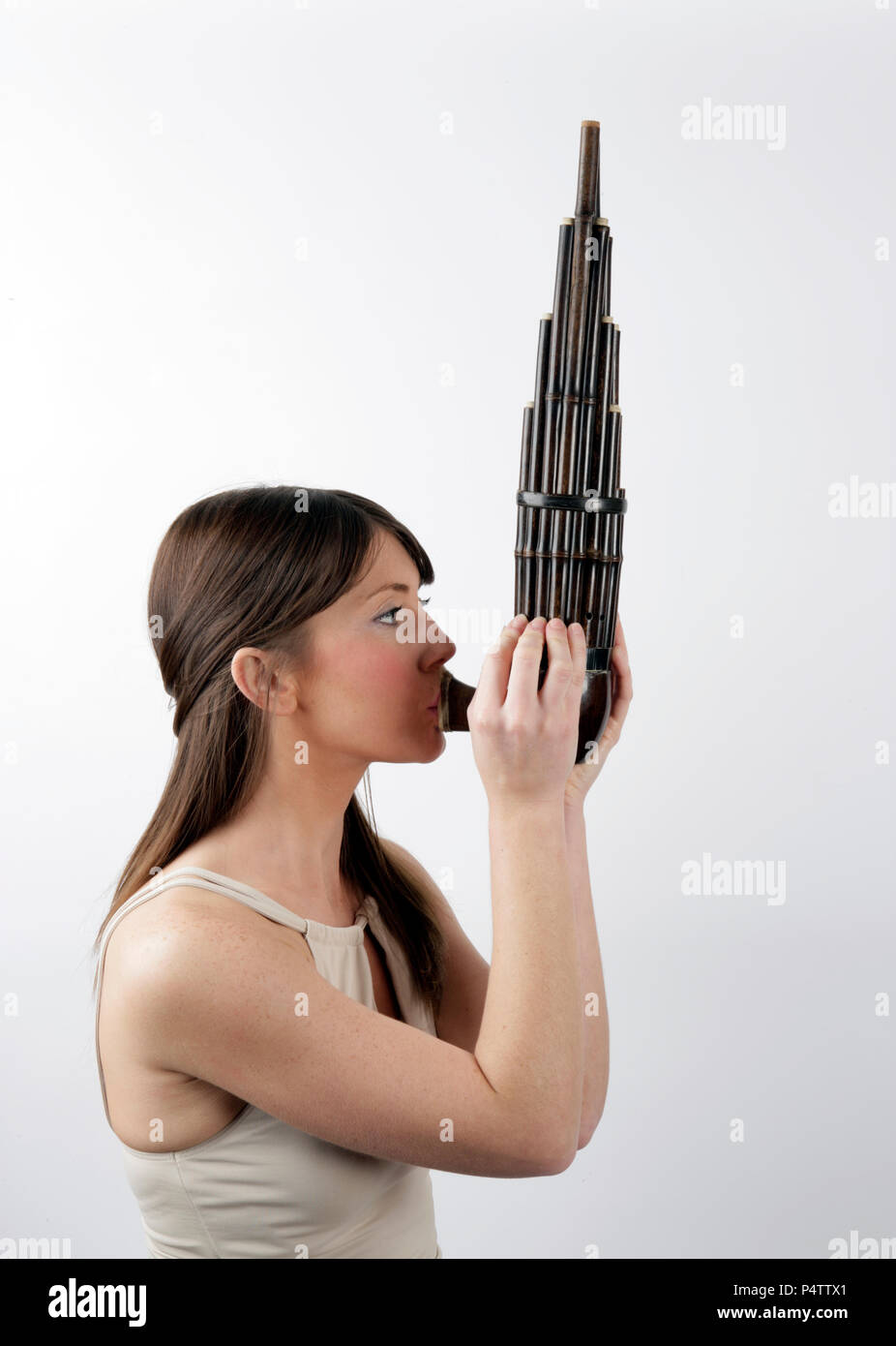 Sheng. Chinese double reed wind instrument made of Bamboo Stock Photo -  Alamy