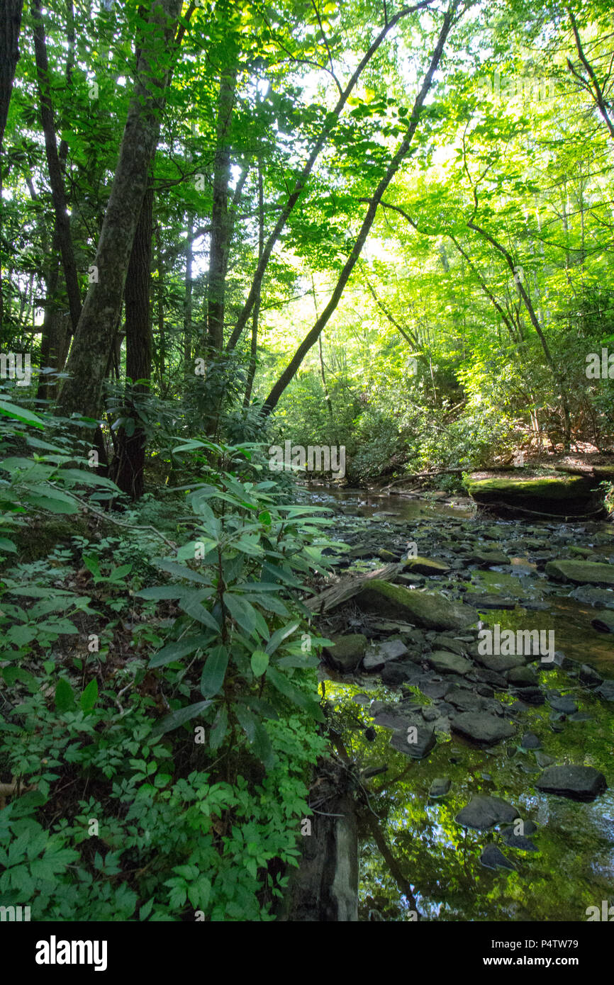 Dog Slaughter Creek, Kentucky Stock Photo Alamy