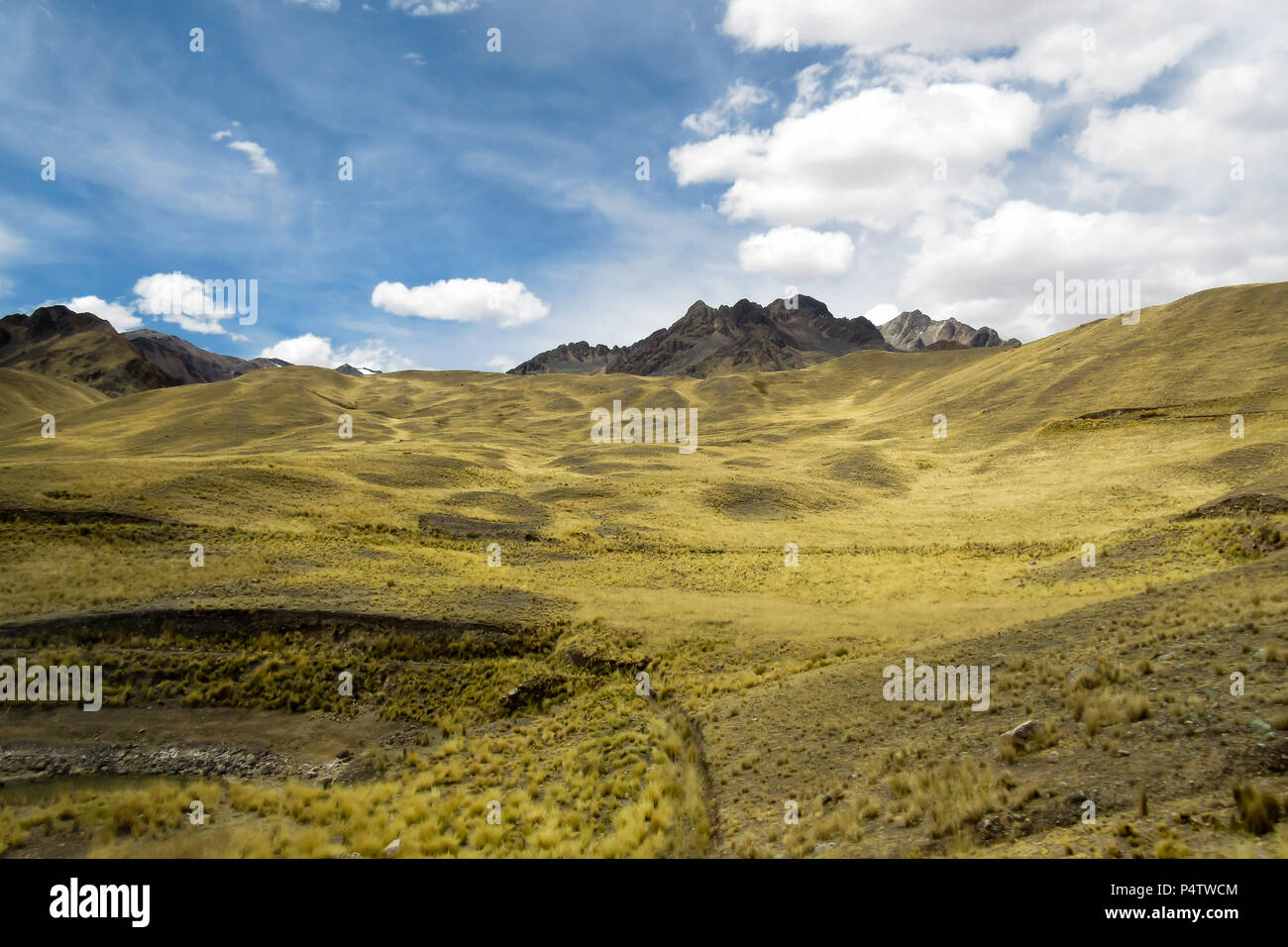 Peruvian Altiplano Landscape Stock Photo