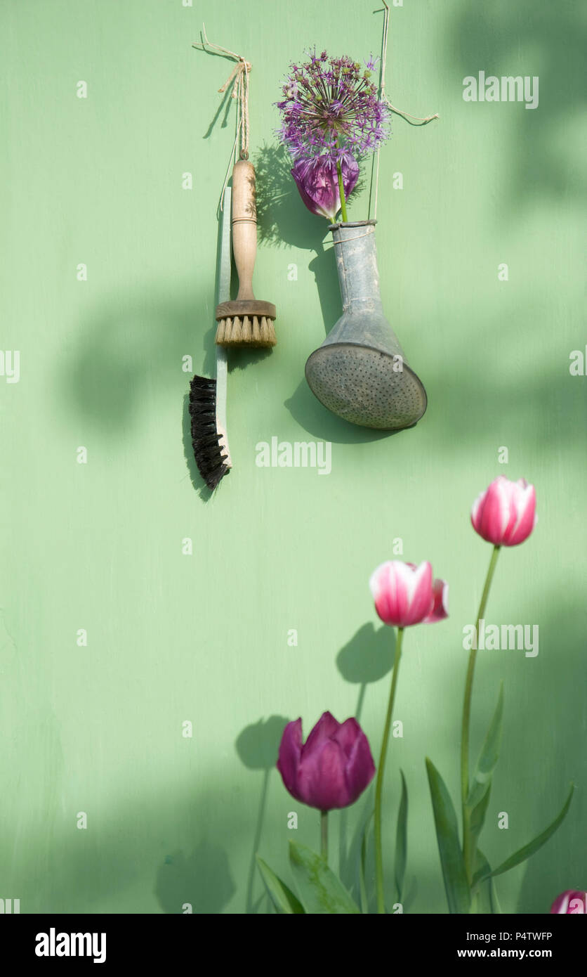 Decoration with flowers hanging on bright green wall Stock Photo
