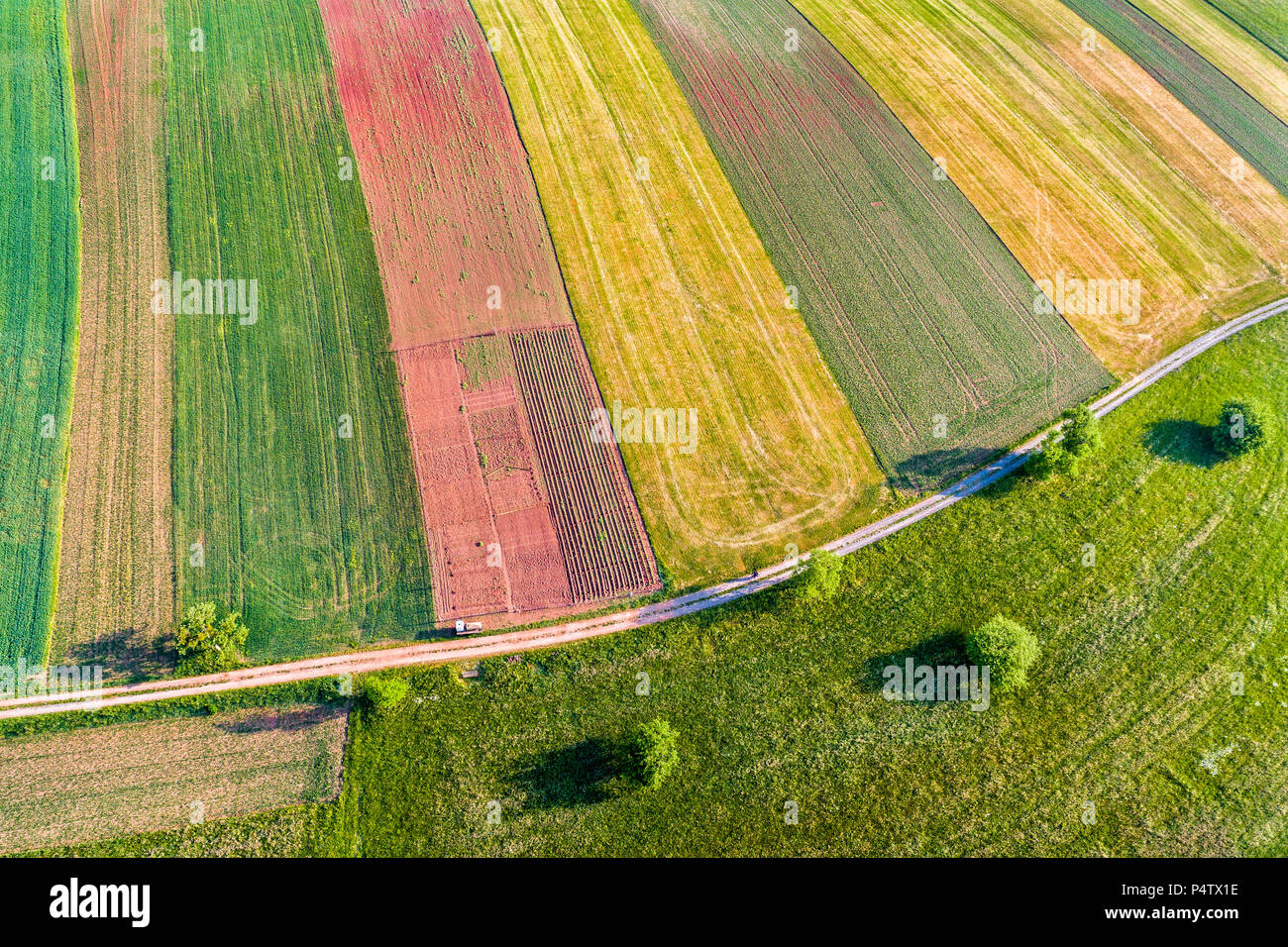 Germany, Baden-Wuerttemberg, Rems-Murr-Kreis, Aerial view of fields Stock Photo