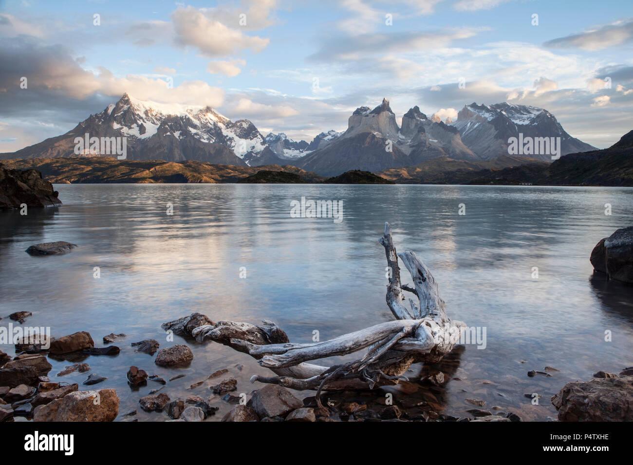 South America, Chile, Patagonia, Torres del Paine National Park, Cuernos del Paine, Lake Pehoe Stock Photo