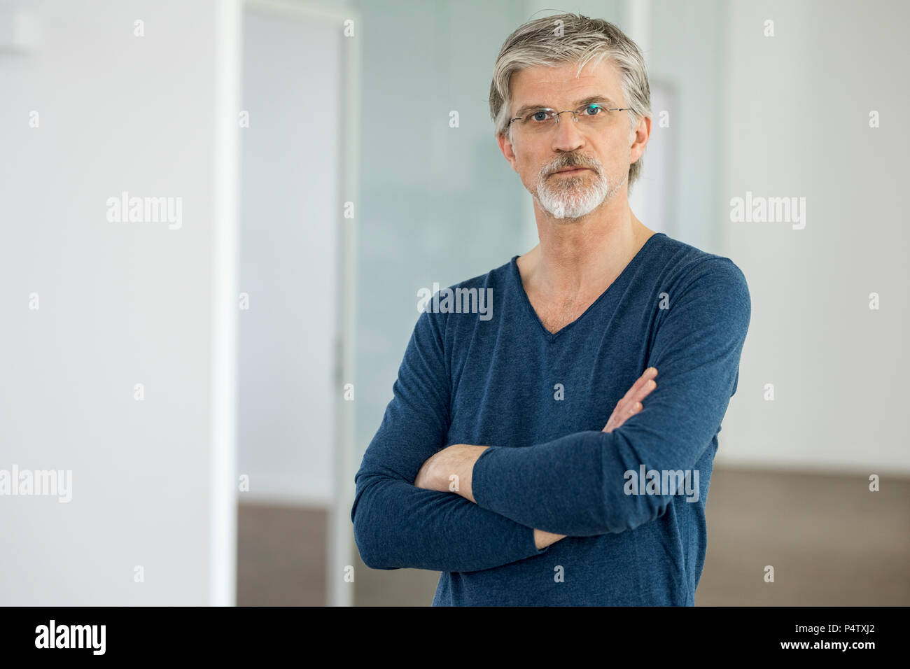 Portrait of a mature businessman Stock Photo