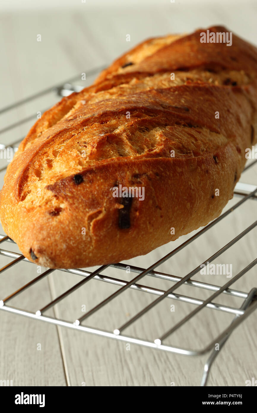 Freshly cooked sourdough loaf of bread with cheese and onion topping on