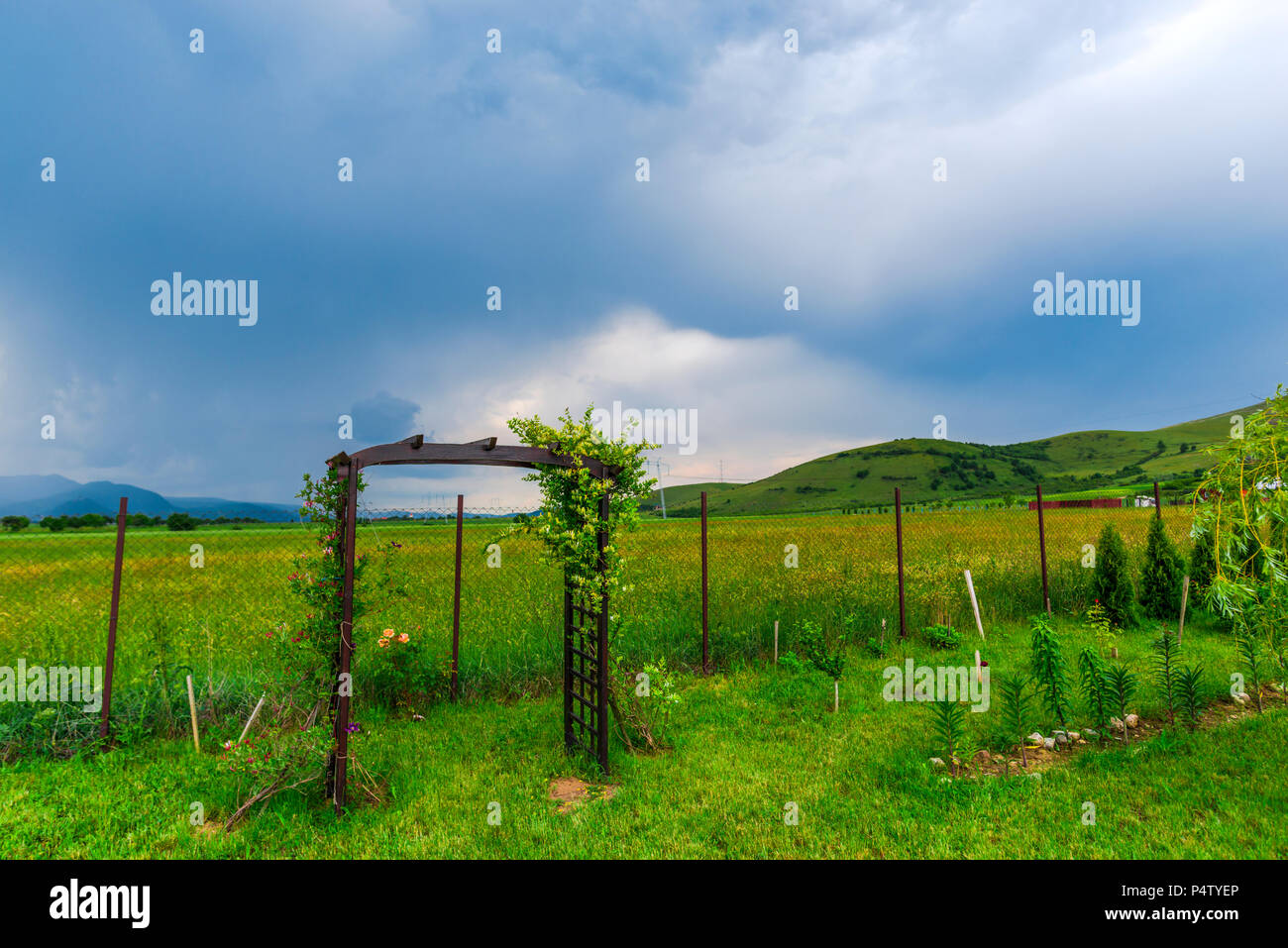 Floral spring landscape vector hi-res stock photography and images - Alamy