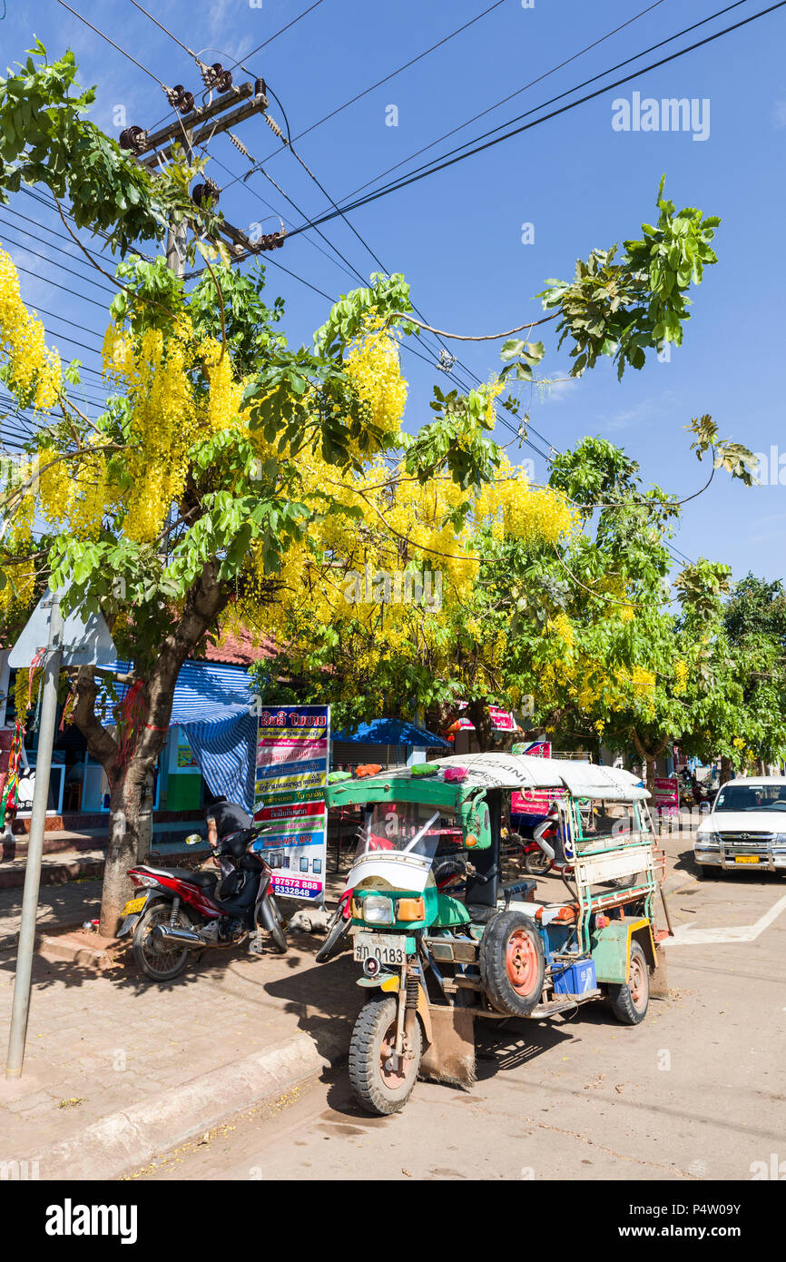 Tuk tuk with laburnum trees, Pakse, Laos Stock Photo