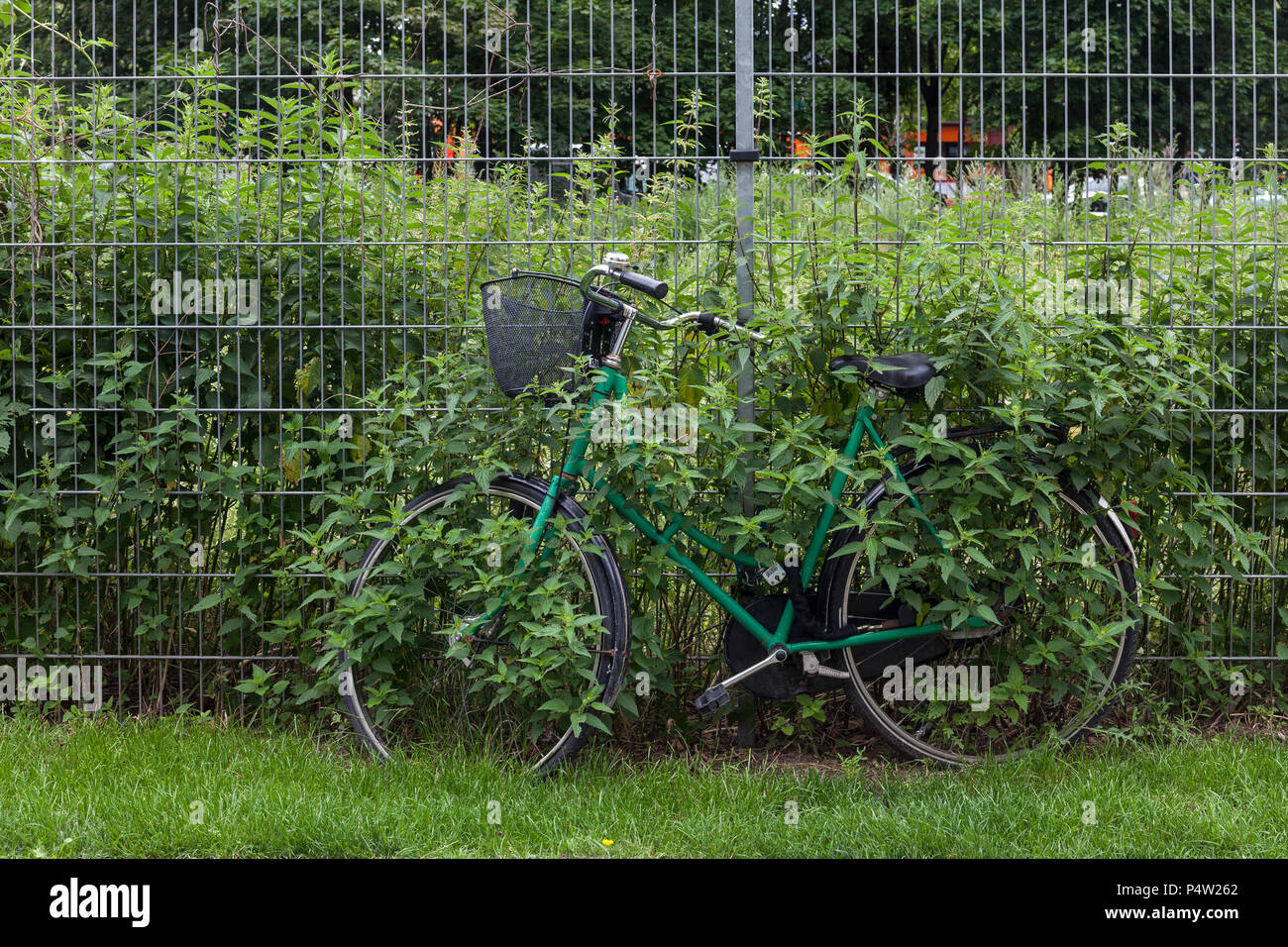 Berlin, Germany, bicycle is overgrown by plants Stock Photo