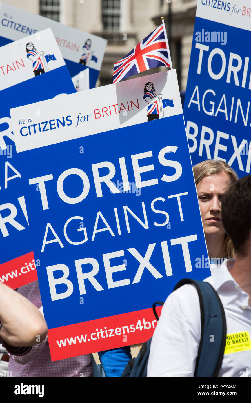 London, UK. 23 June 2018.Anti-Brexit march and rally for a People's Vote in Central London. Tories against Brexit posters. Stock Photo