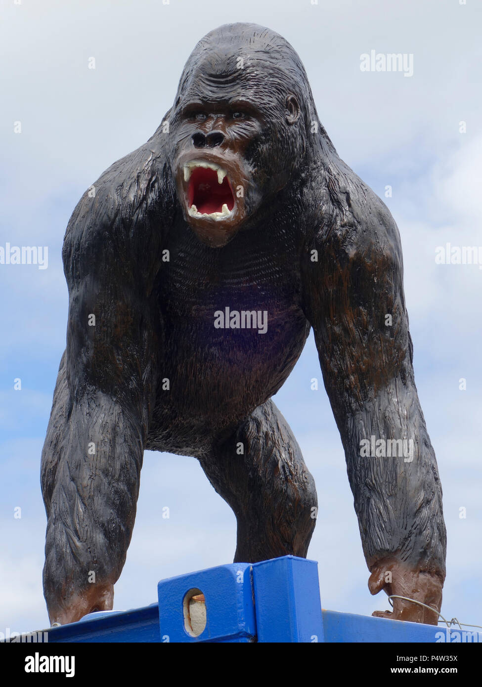 Angry Gorilla Stock Photos & Angry Gorilla Stock Images - Alamy