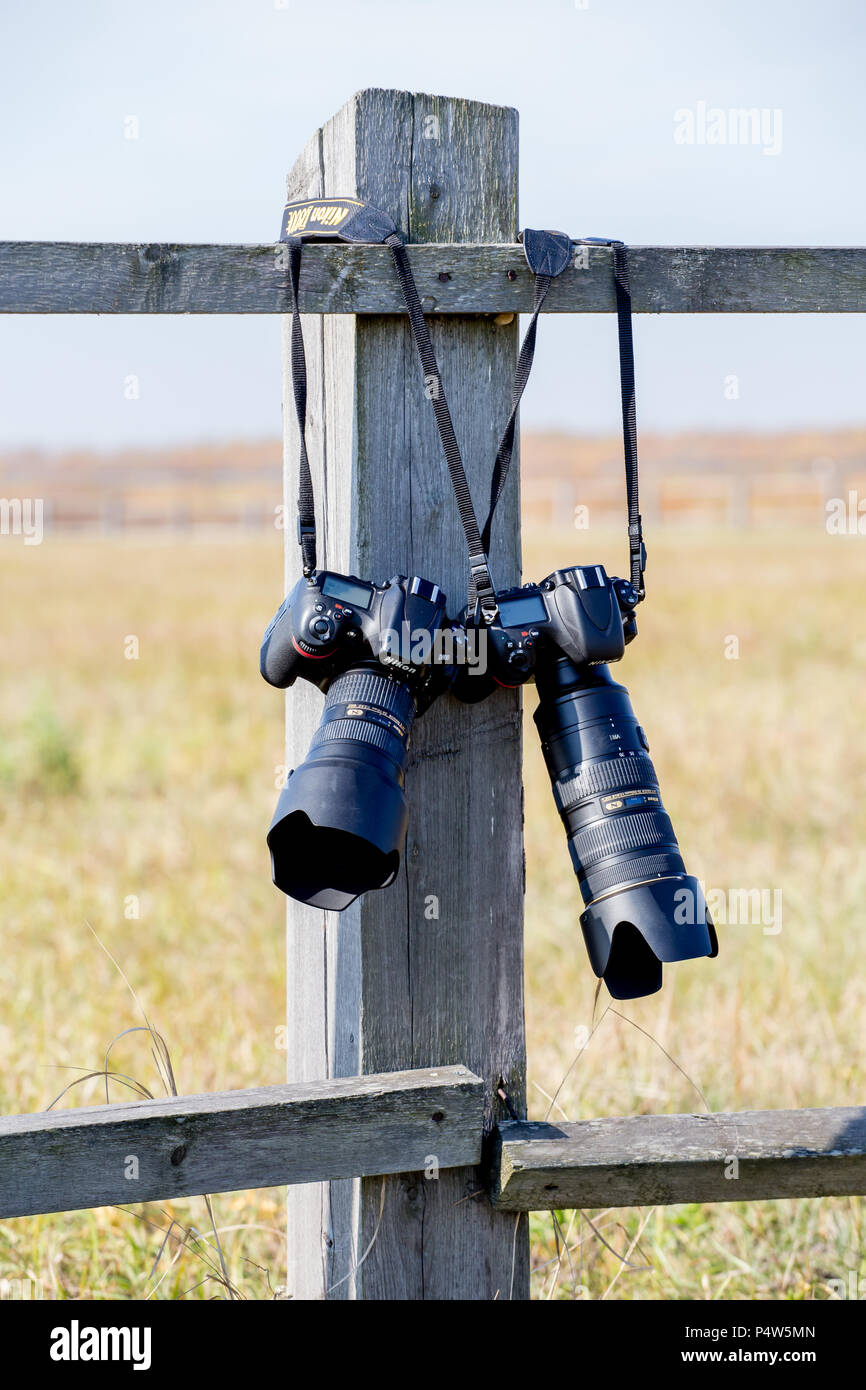 Russia, Vladivostok, 10/13/2017. Modern digital cameras Nikon D800 and Nikon D800E with lens hang on wooden fence in a country. Concept: photographers Stock Photo
