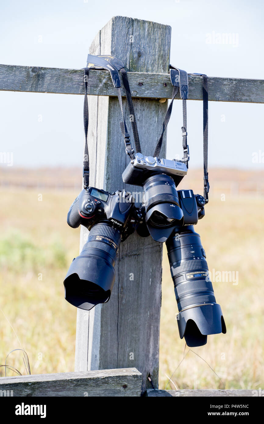Russia, Vladivostok, 10/13/2017. Modern digital cameras Nikon D800, Nikon D800E and Fuji X-E2 with lens hang on wooden fence in a country. Concept: ph Stock Photo