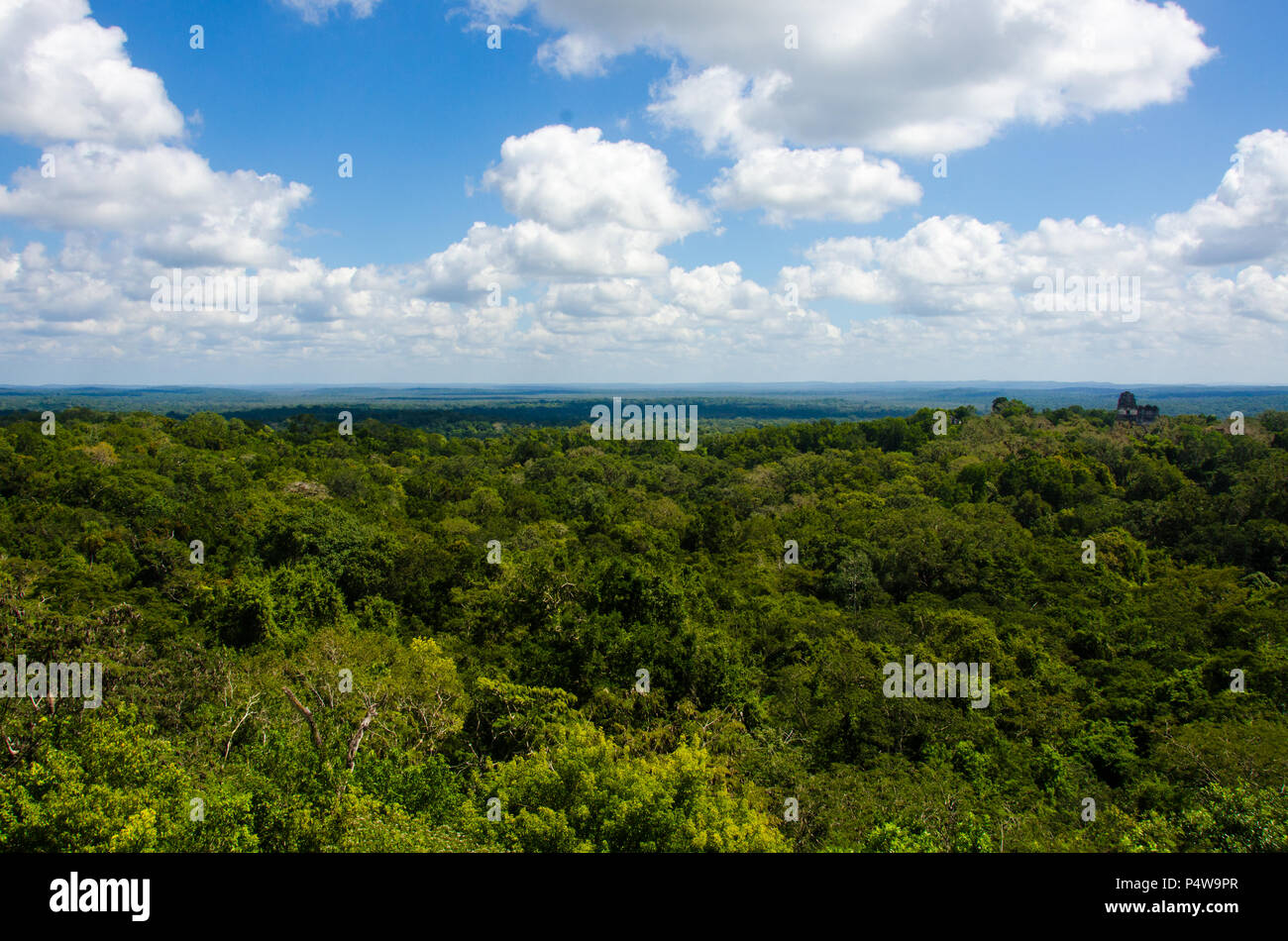 Tikal - Maya Ruins In The Rainforest Of Guatemala Stock Photo - Alamy