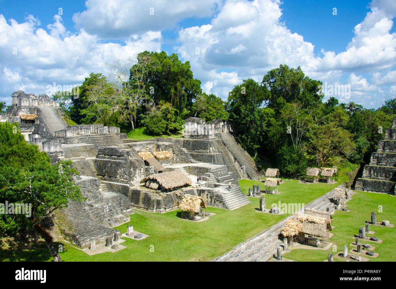 Tikal - Maya Ruins in the rainforest of Guatemala Stock Photo - Alamy