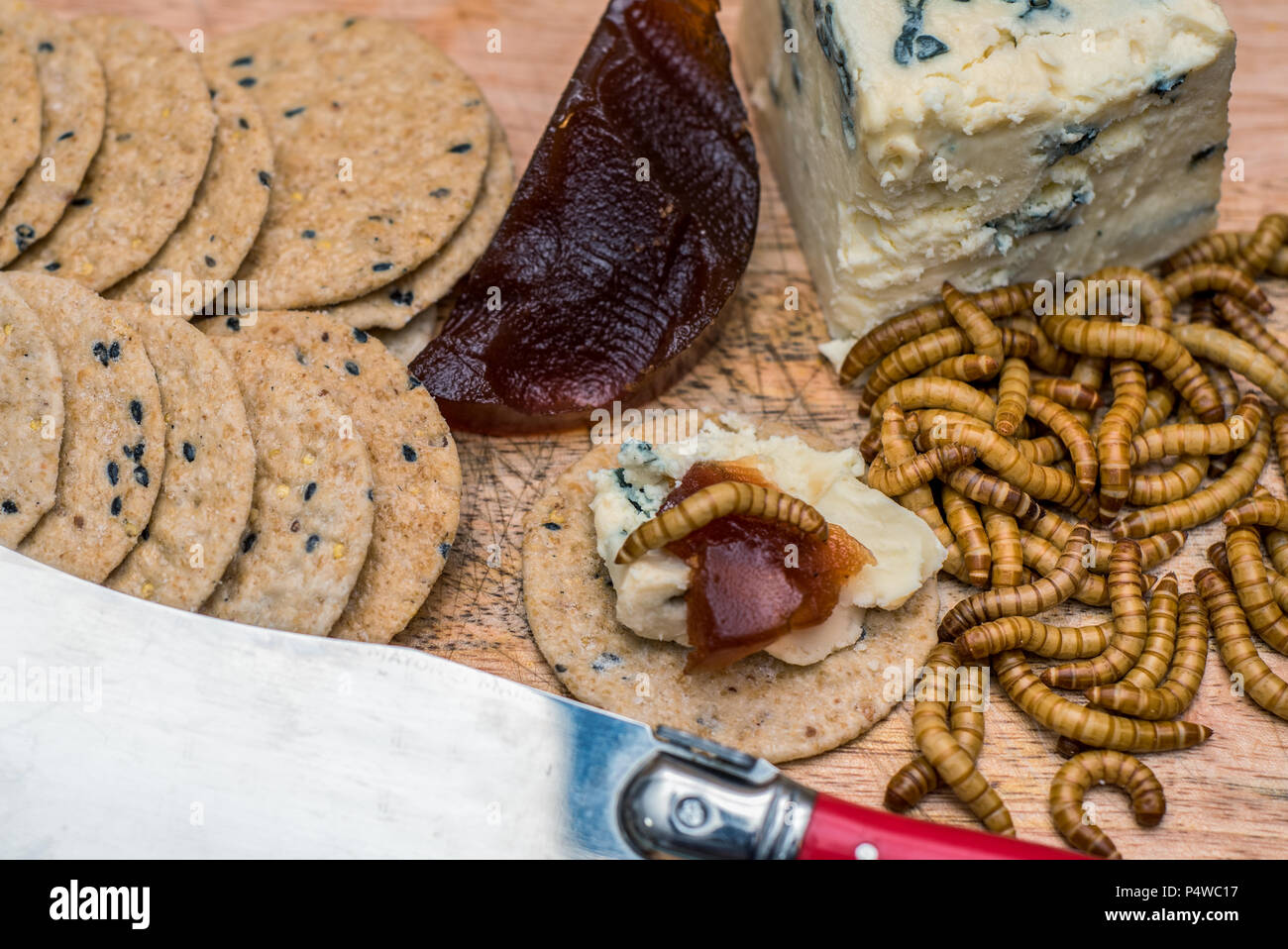 Cheese platter with meal worms Stock Photo Alamy