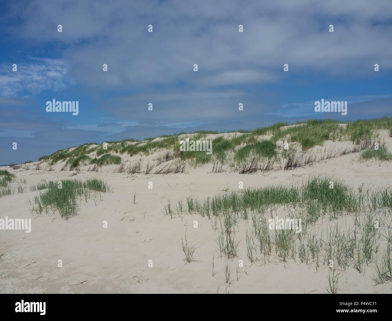 the North sea in germany Stock Photo - Alamy