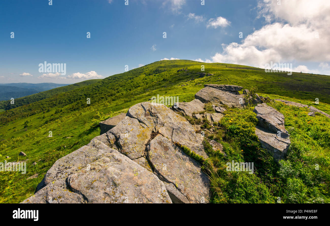 mountain landscape with stones laying among the grass on top of the ...