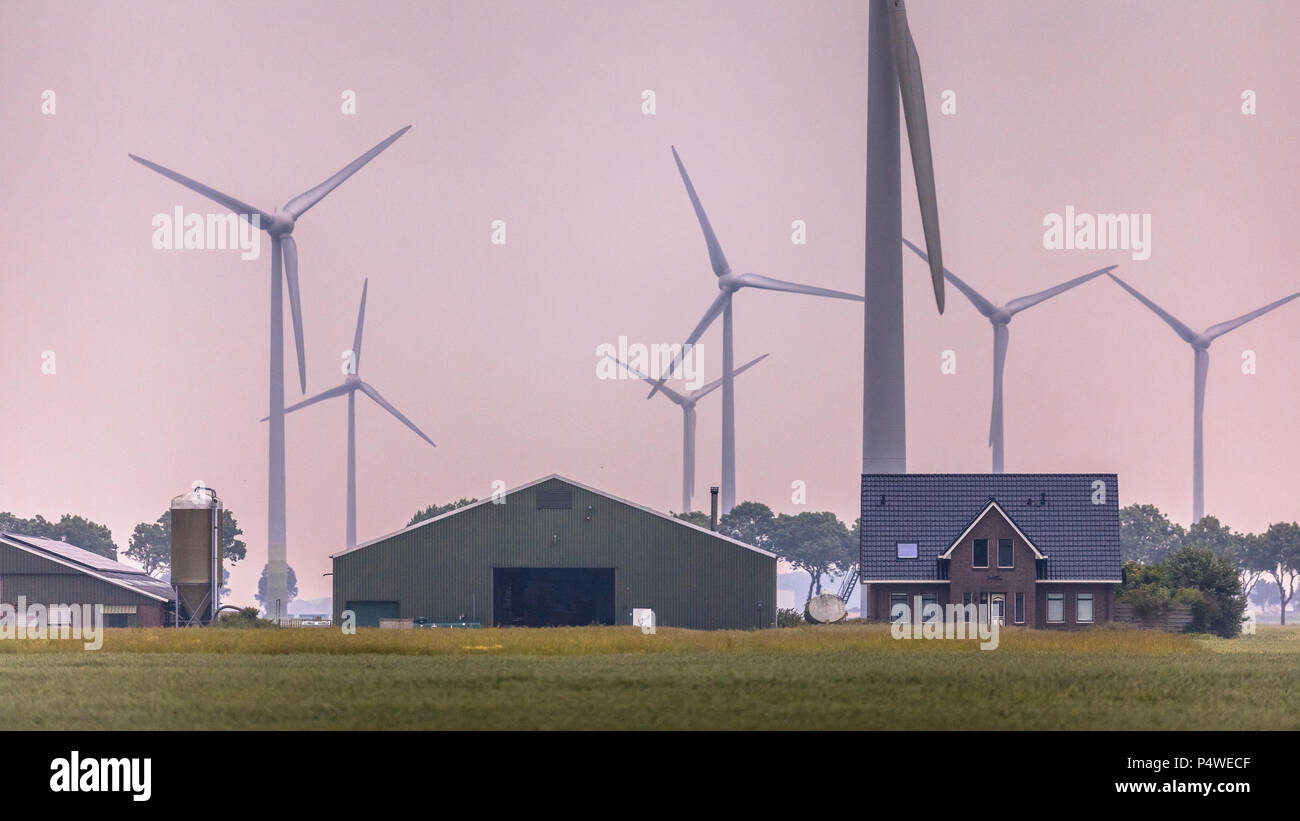 DELFZIJL, NETHERLANDS, JUNE 22 2017. Modern farm in open countryside with trees and wind turbines at orange sunset Stock Photo