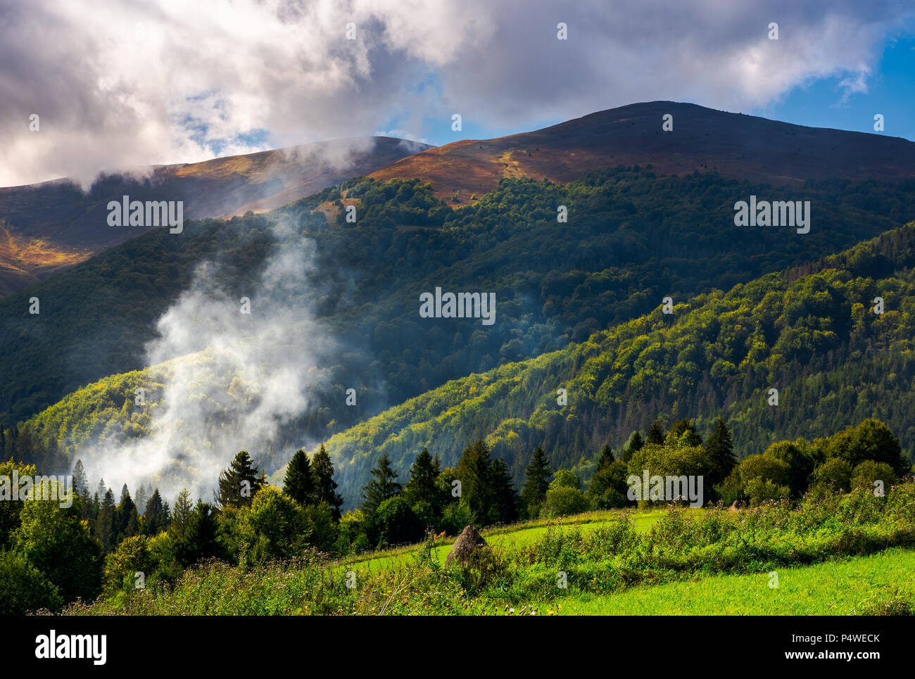 smoke from the fire in forest. mountainous summer landscape. environmental problem and ecology disaster of Carpathian countryside Stock Photo