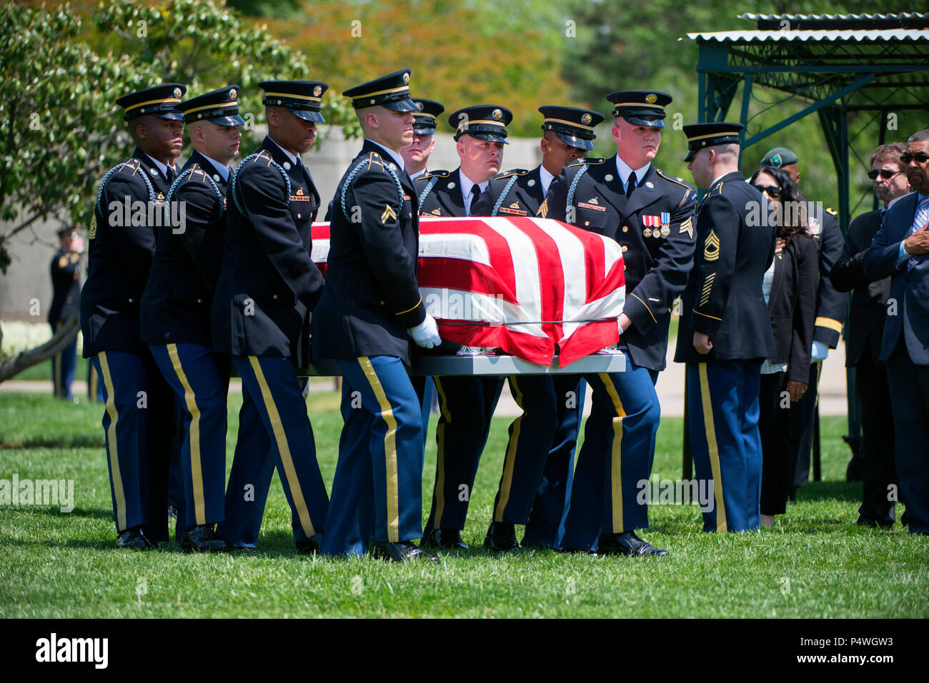 Members of the 3d U.S. Infantry Regiment (The Old Guard) participate in the graveside service