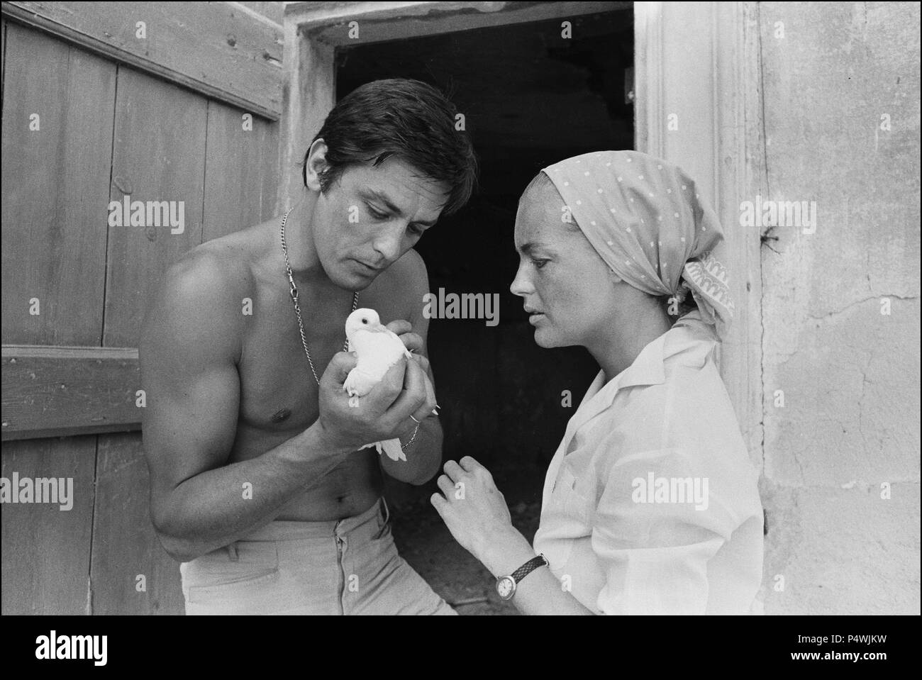 Original Film Title LA PISCINE. English Title SWIMMING POOL, THE. Film Director JACQUES DERAY