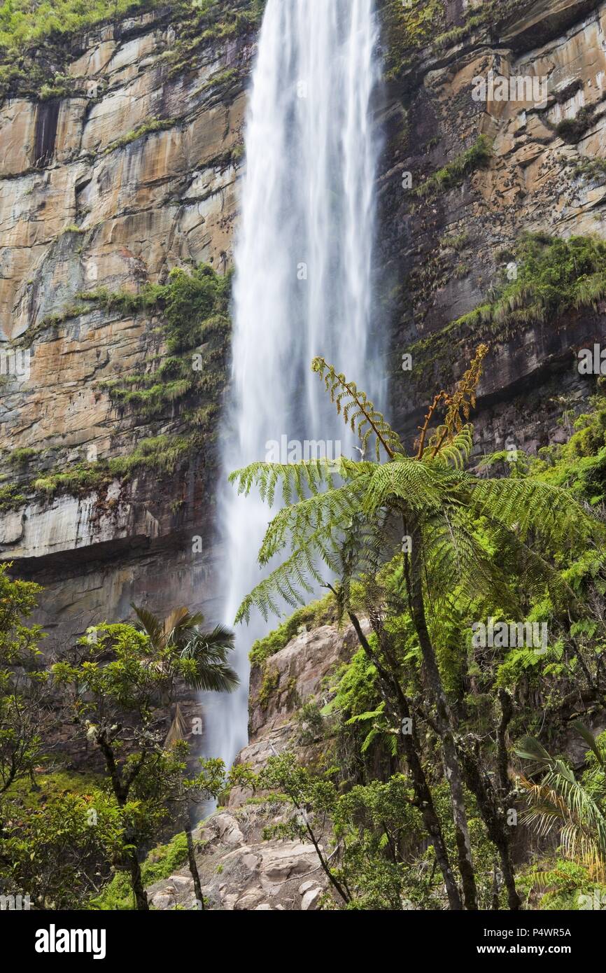 Gocta waterfall. Amazonas Departament. Peru. Stock Photo