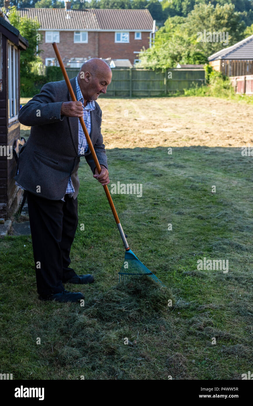 Old man raking up cut grass after the lawn has been mowed Stock Photo