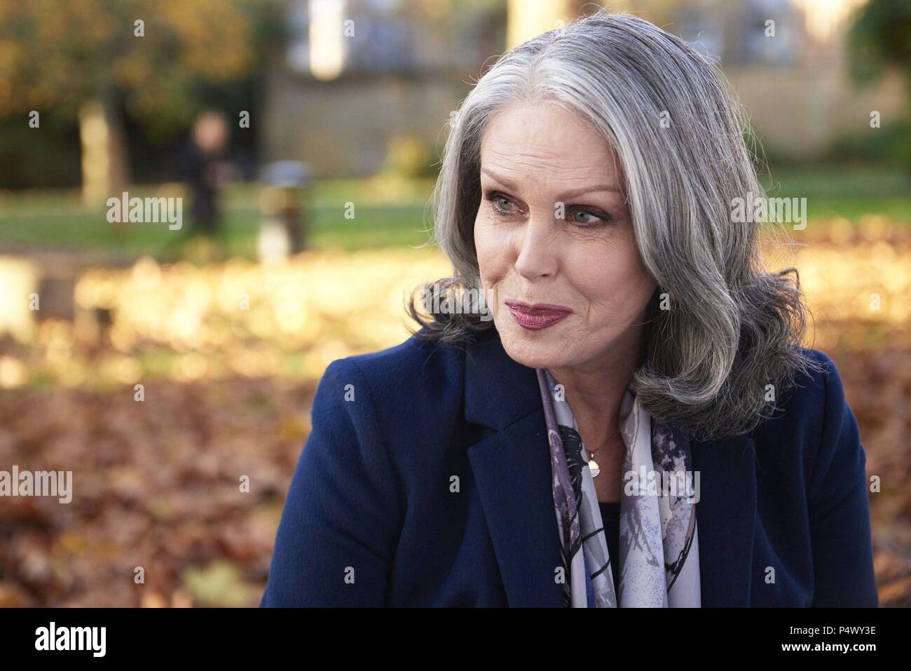 Original Film Title FINDING YOUR FEET. English Title FINDING YOUR