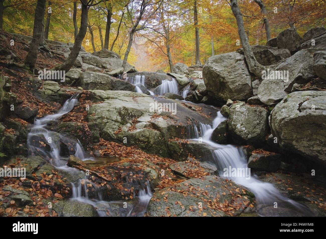 Stream in Montseny Natural Park. Barcelona. Spain. Stock Photo