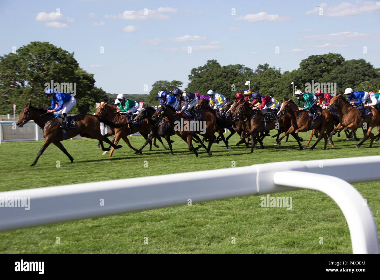 Horses racing on track at Royal Ascot Stock Photo