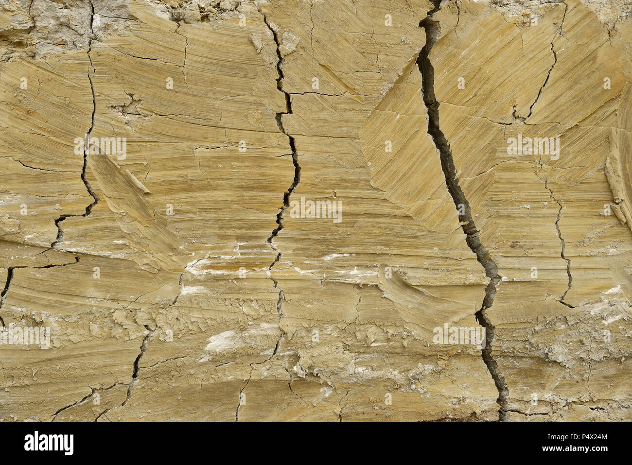 Vertical cross section of Clay soil Stock Photo