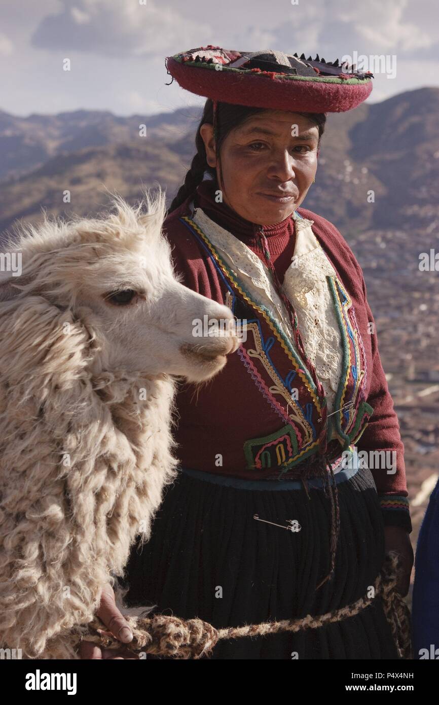 Peru city llama hi-res stock photography and images - Alamy