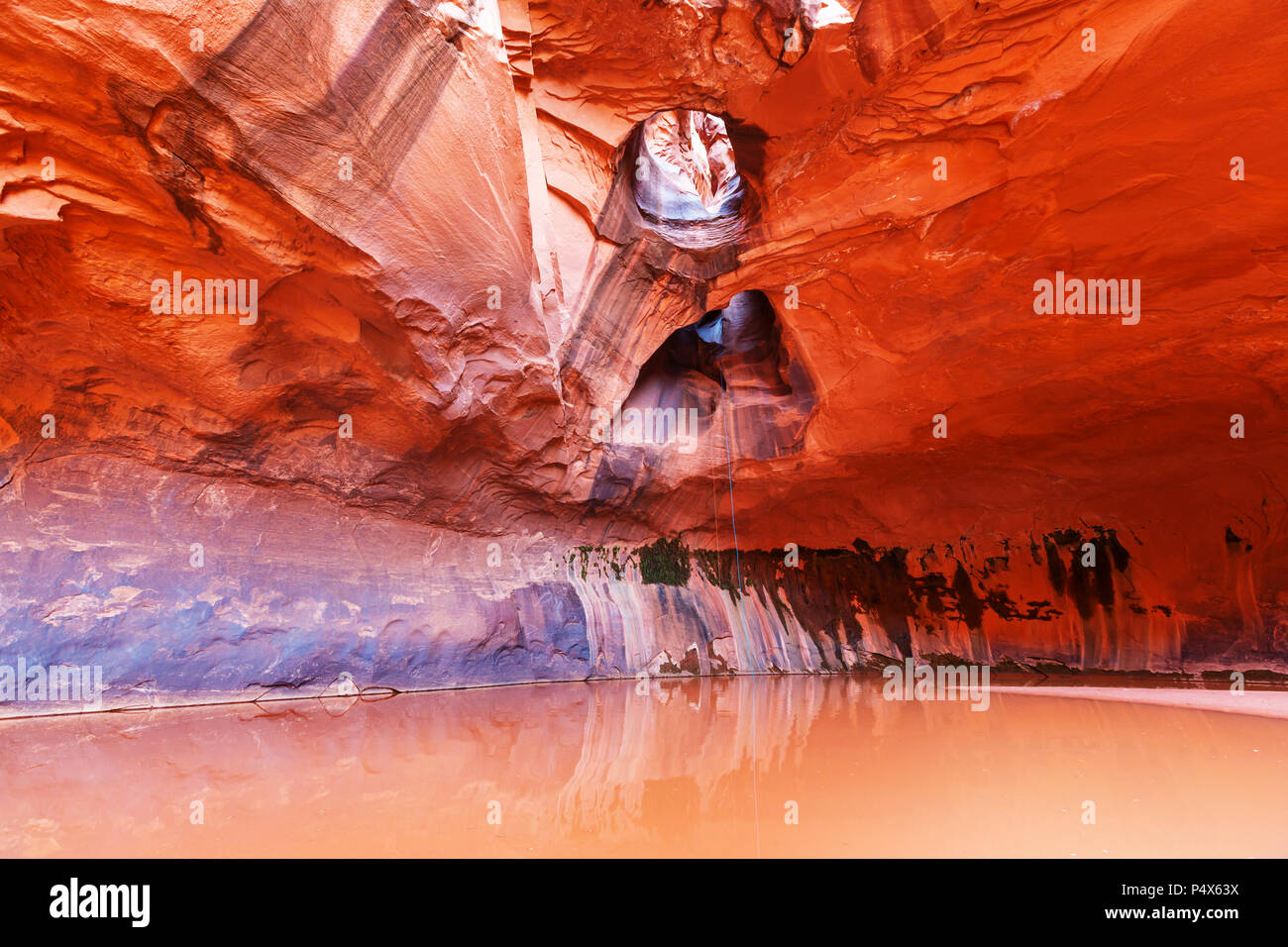 Golden Cathedral in Neon Canyon, Escalante National Park, Utah Stock