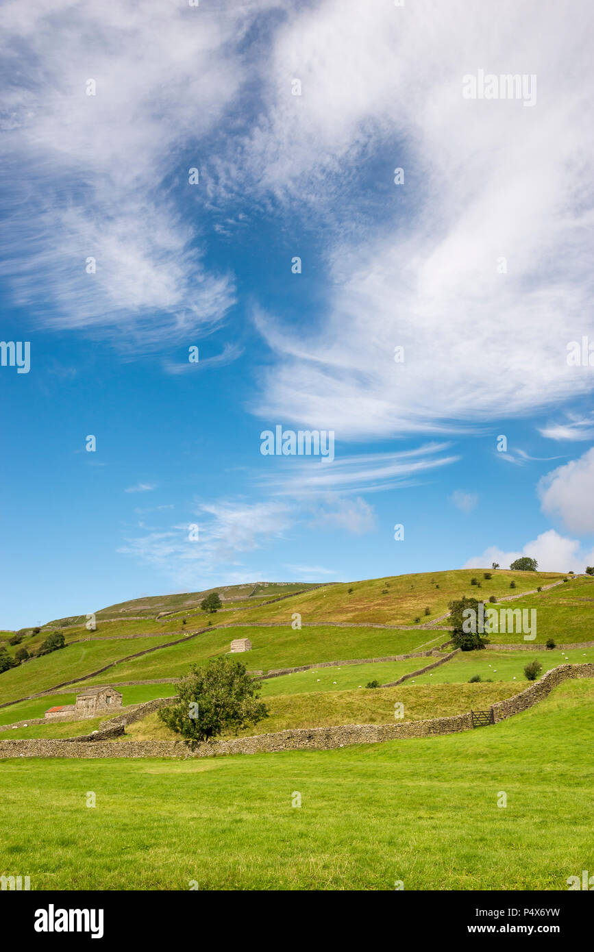 Beautiful September day in the hills at Muker in Swaledale, Yorkshire Dales national park, England. Stock Photo