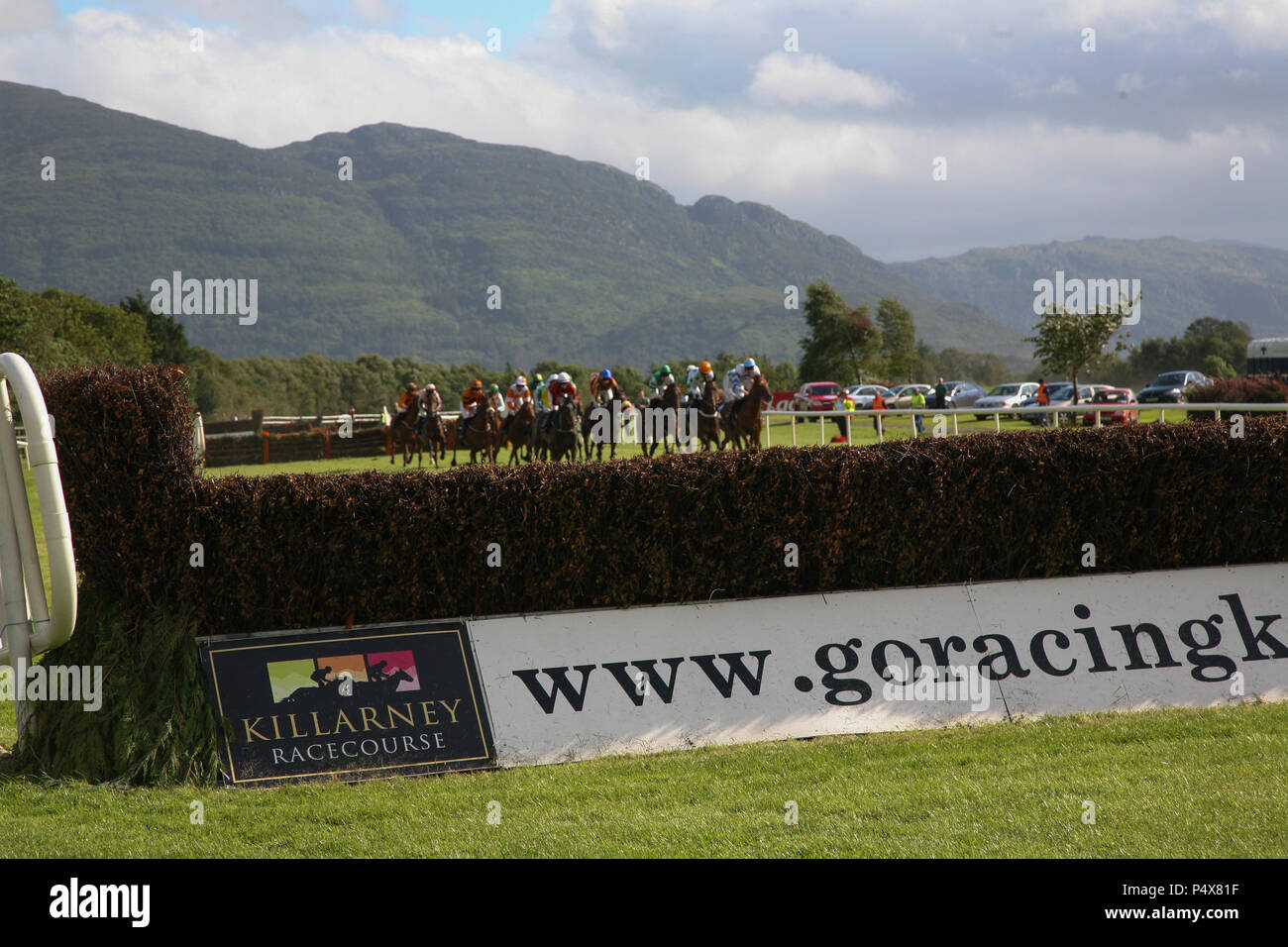 Killarney Horse Race, horses coming to the final jump, County Kerry