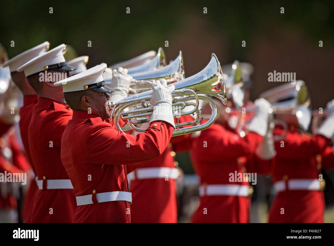 Members of the U.S. Marine Drum & Bugle Corps perform during the Centennial Celebration Ceremony at Lejeune Field, Marine Corps Base (MCB) Quantico, Va., May 10, 2017. The event commemorates the founding of MCB Quantico in 1917, and consisted of performances by the U.S. Marine Corps Silent Drill Platoon and the U.S. Marine Drum & Bugle Corps. Stock Photo