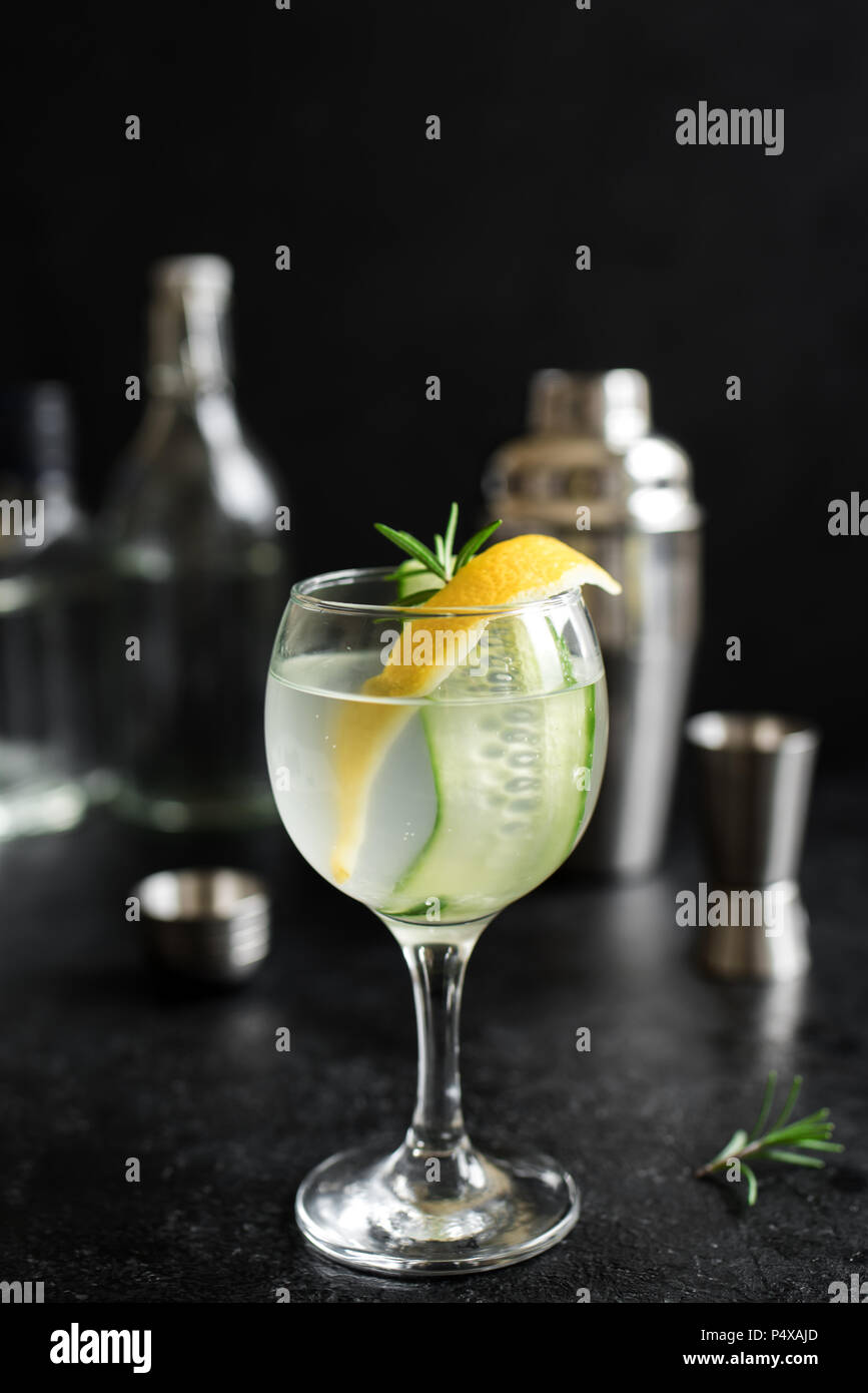 Gin fizz cocktail with lemon, cucumber, rosemary and ice. Gin tonic or